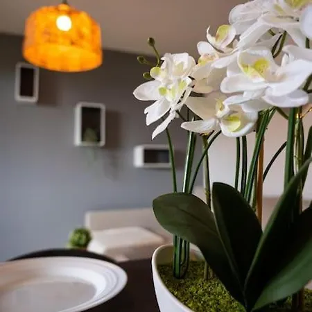 Apartamento Cocon Cosy 3 Pers, Colomiers
